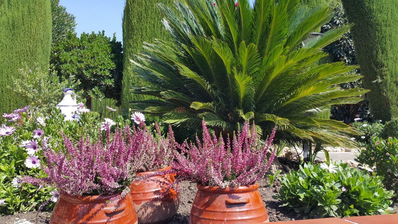El Jardin De La Abuela Villa Granada Luaran gambar