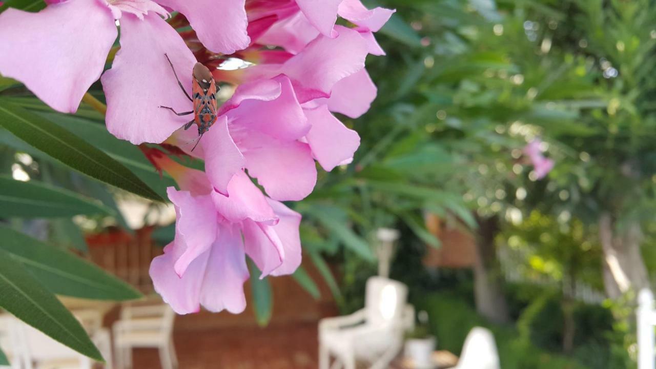 El Jardin De La Abuela Villa Granada Luaran gambar